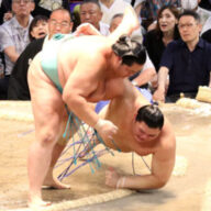 土俵の目撃者のアイコン